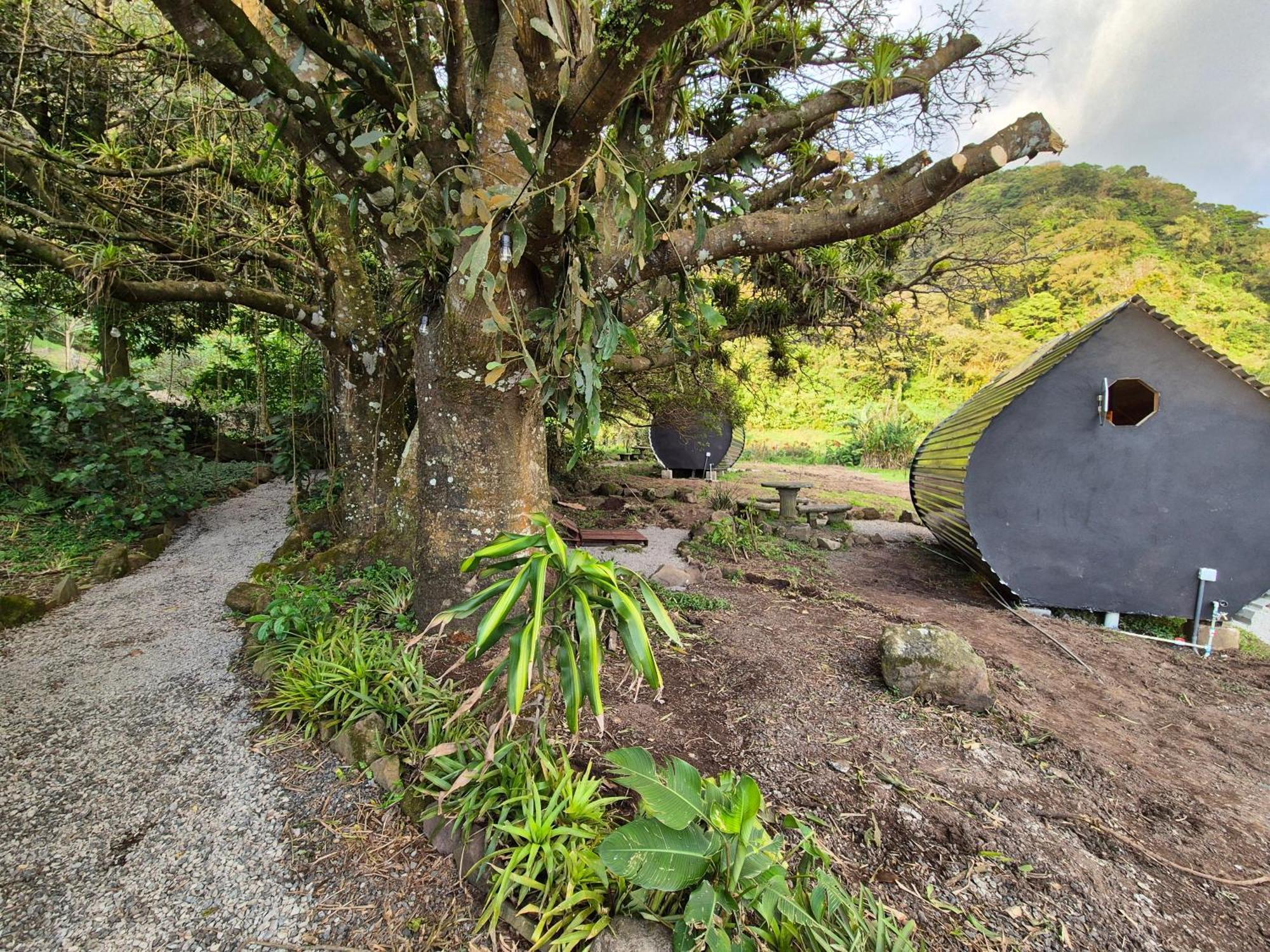 Glamping الجبل الأخضر المظهر الخارجي الصورة